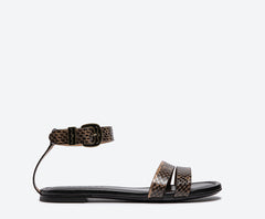 SR4734P ELAPHE RADIATA HAVANA ref: