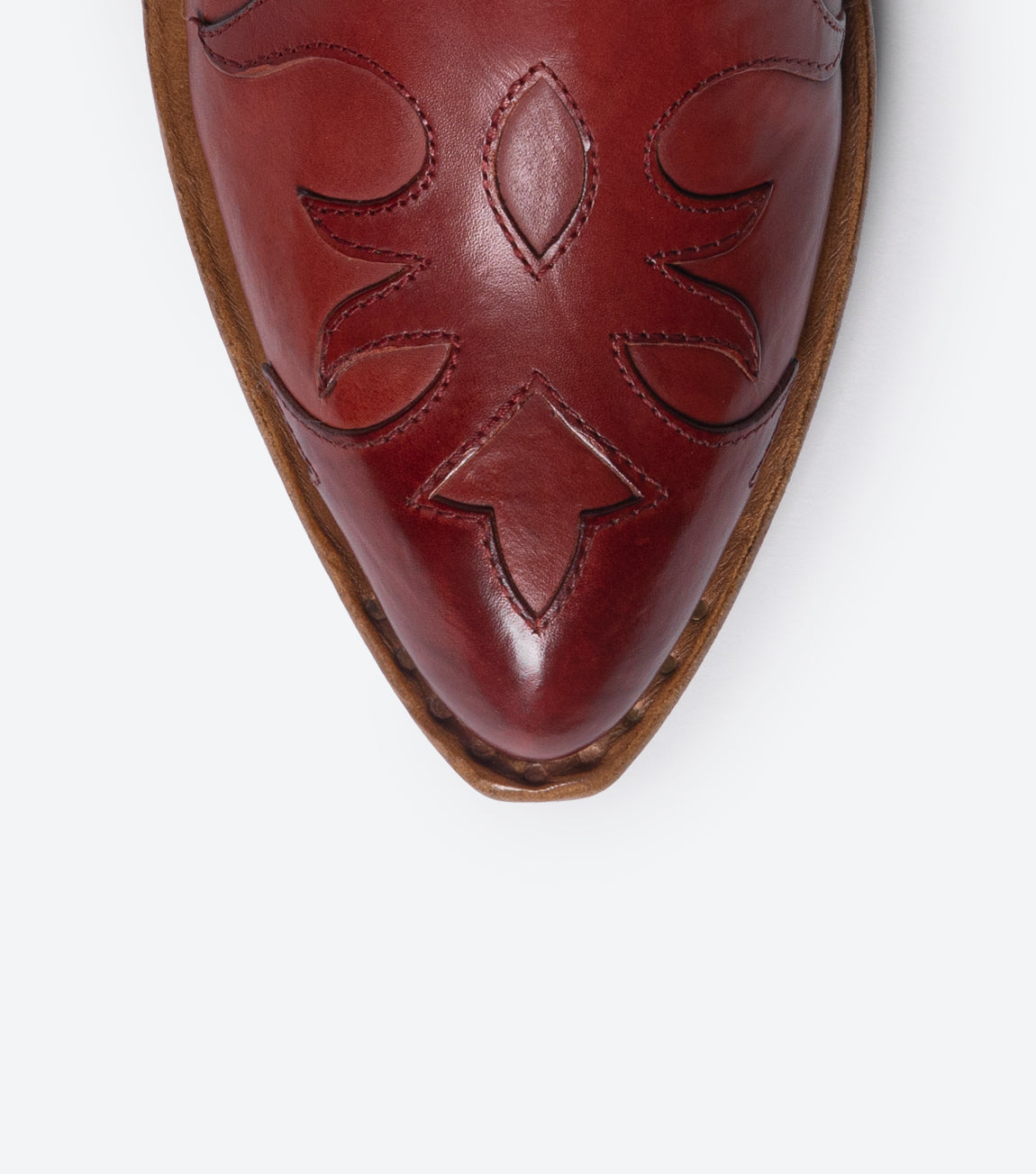 SR3645S PARMA CARMINE 3