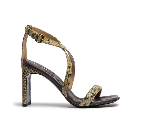 SR4536R ELAPHE BAMBU