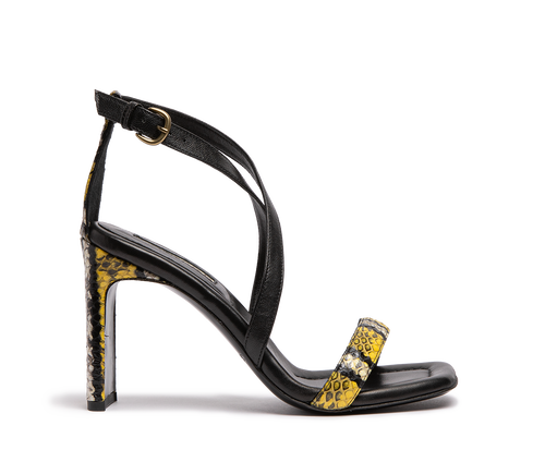 SR4536R ELAPHE/BARON GIALLO/NERO