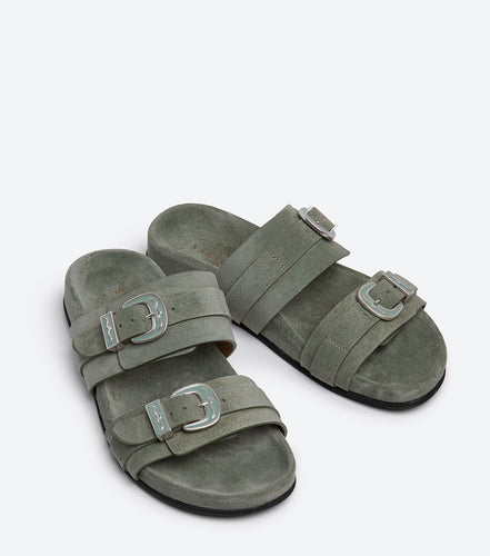 SR4741 SENSORY OLIVA