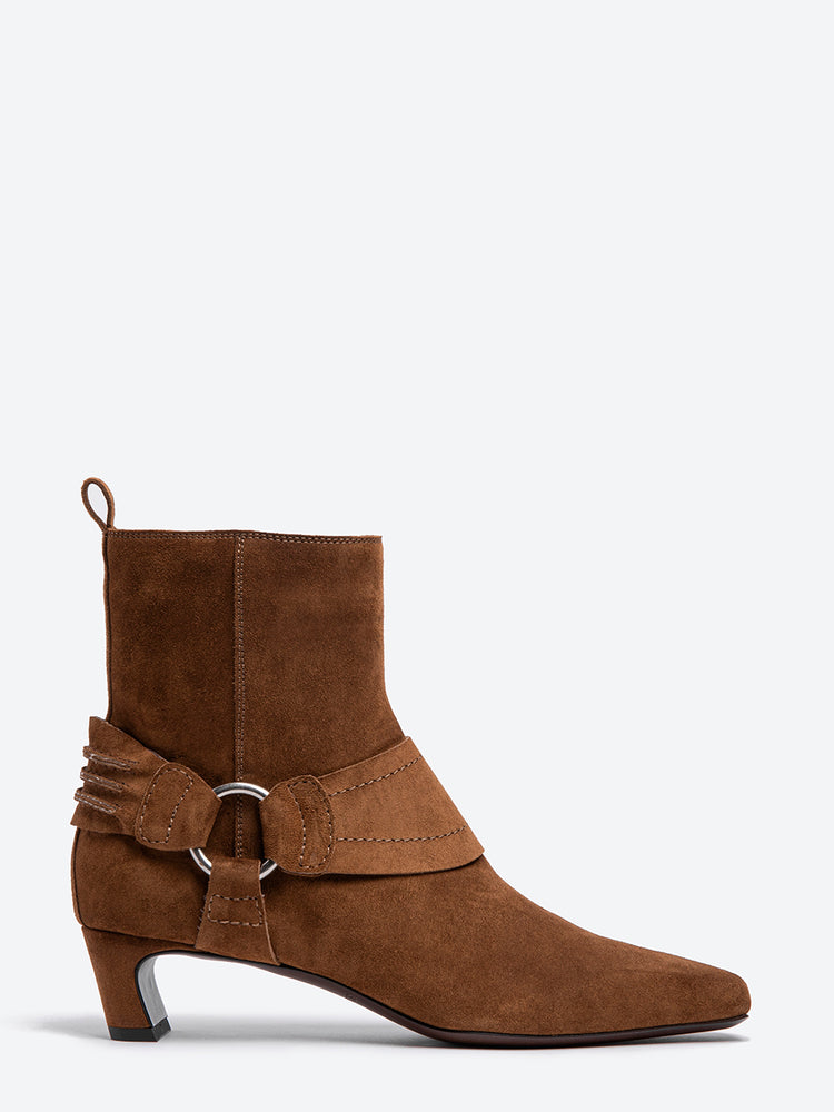 SR4836 CASHMERE ARABICA 1